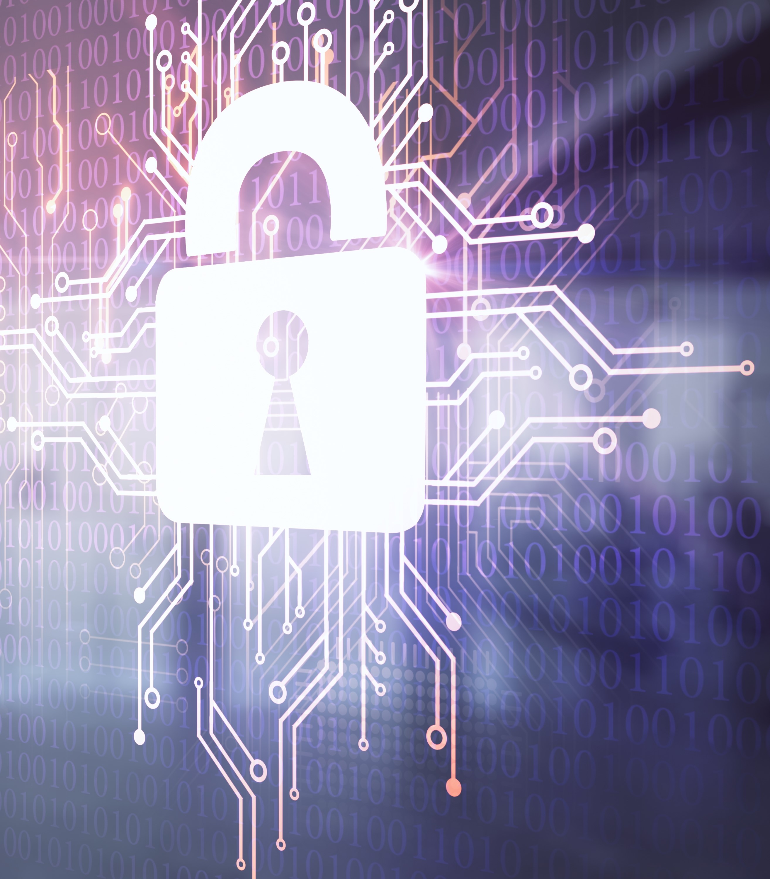 Güvenlik Yaklaşımı